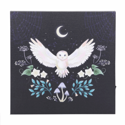 Alternative view of Night Owl Light Up Canvas Plaque