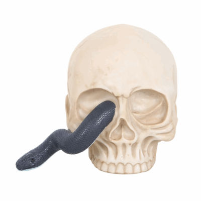 Alternative view of Skull Ornament with Snake