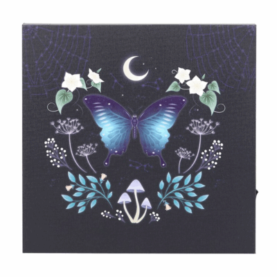 Alternative view of Midnight Moth Light Up Canvas Plaque
