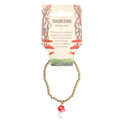 The Truth Dreamcatcher by Anne Stokes