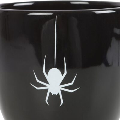 Alternative view of Black Spider Teacup