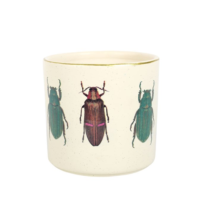 Off White Beetle Plant Pot - Image 2