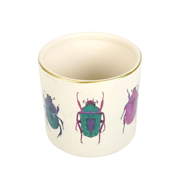 Off White Beetle Plant Pot - Image 3